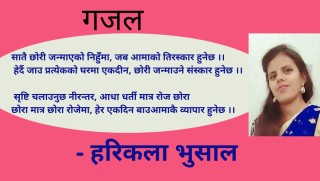 गजल - सातै छोरी जन्माएको निहुँंमा…