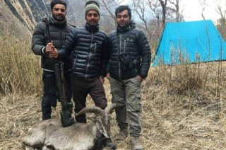 ढोरपाटन शिकार आरक्षमा वर्षको  अन्तिम सिजनको शिकार सकियो 