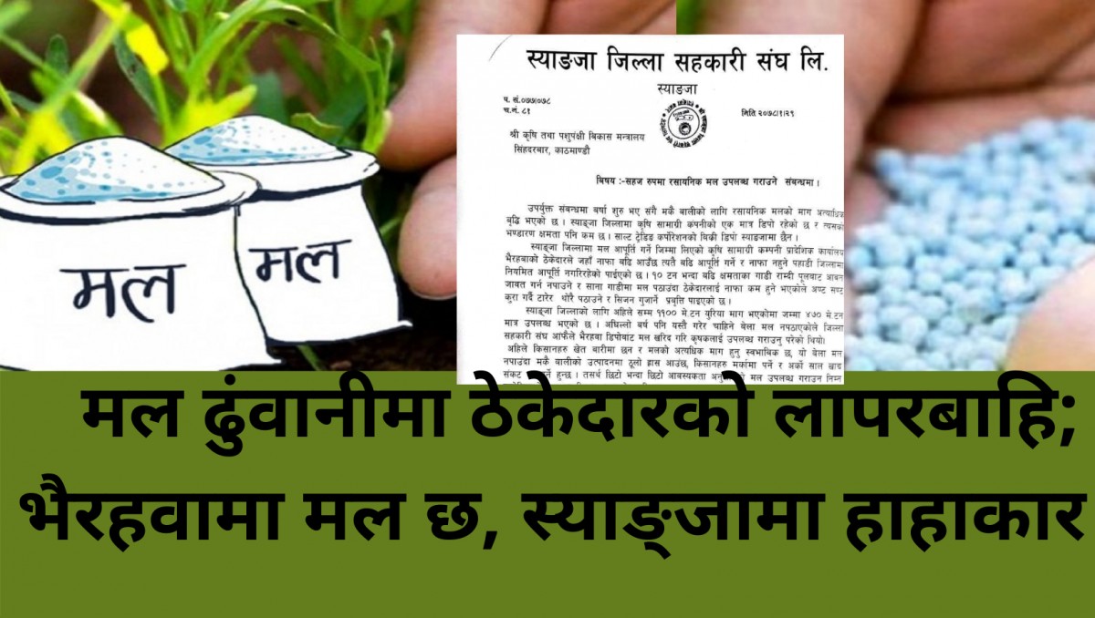 कृषिबाटै विदेशभन्दा धेरै आम्दानी गर्दै स्याङ्जाका दिनेश तिवारी