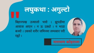 लघुकथा : 'अगुल्टो'