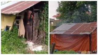 एक महिनालाई पुग्ने रासन प्रदानसंगै भुपु विद्यार्थीले मर्मत गरिदिए ८४ वर्षीय बृद्धको घर
