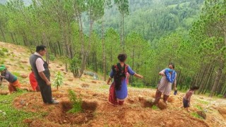 प्रधानमन्त्री रोजगार कार्यक्रम अन्तर्गत छत्रकोटमा ७ सय अमलाका बिरुवा लगाइयो