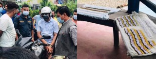 देवदहमा लागुऔषध सहित एक जना पक्राउ