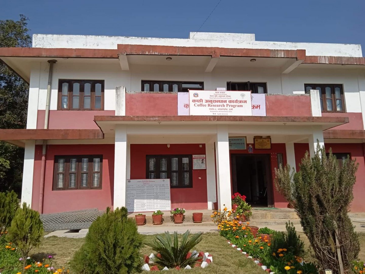 भण्डारी डाँडालाई जस्ले नयाँ रुपमा सिँगारे र रुँदै घर फर्के