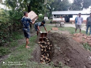 नवलपरासीमा ३ लाख बढीकाे चल्ला नष्ट