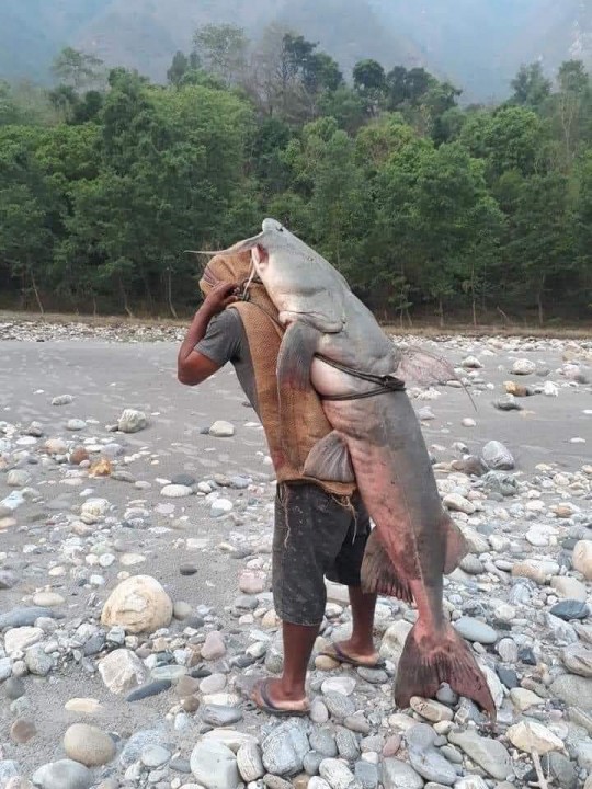 received_377384884029080.jpeg