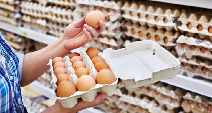अन्डा शाकाहारी नै रहेको बिज्ञानको निष्कर्ष  ?
