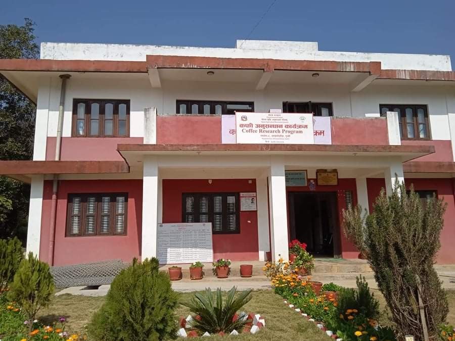 कफि अनुसन्धान कार्यक्रम : न पर्याप्त जग्गा, न विज्ञ कर्मचारी 