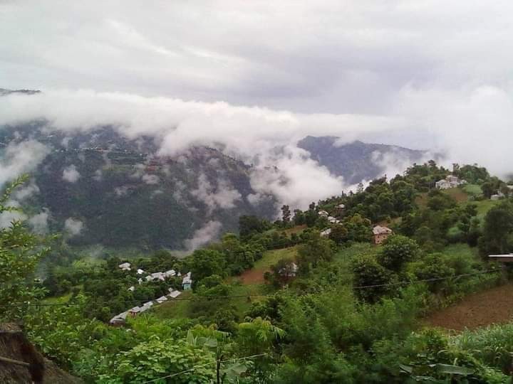 received_390646305745174.jpeg