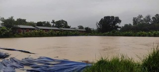 बाढीले केरवानी  बिद्यालयको माछापालन प्रभावित