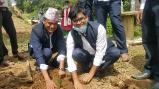 निजामती सेवा दिवसको अवसरमा रुरुक्षेत्र गुल्मीमा वृक्षरोपण