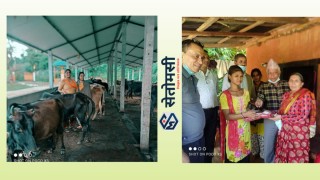 रुरु धामको गौरव गौसेवा आश्रम