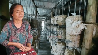 दिलकुमारी : माओवादी नेतृदेखि संसारकै १० साहसी र सृजनशिल महिलासम्म 