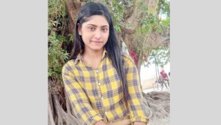 पागल, पागल्नी र चोर