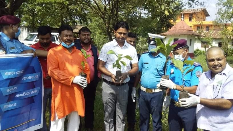 प्रहरी र सामूदायीक केन्द्रद्वारा धकधईमा बृक्षारोपण