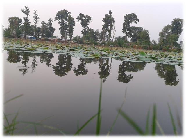 Picture4.jpg