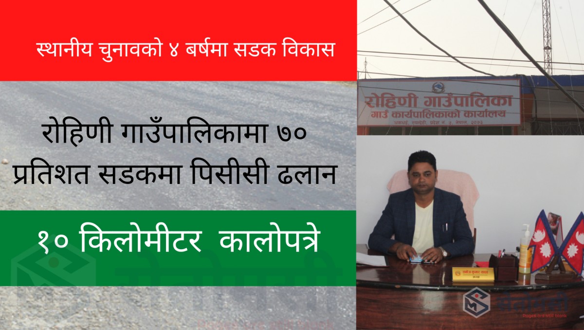 निजामतीमा दिवसमा रोहिणी गाउँपालिकामा बृक्षारोपण 