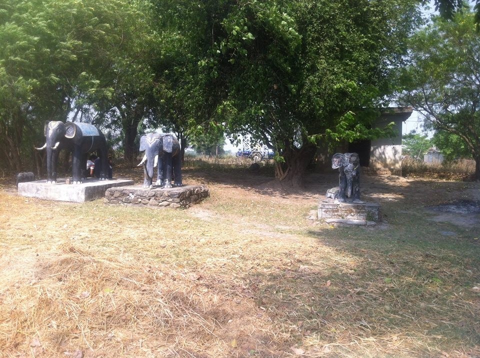 1542343104panditpur_01 (1).jpg