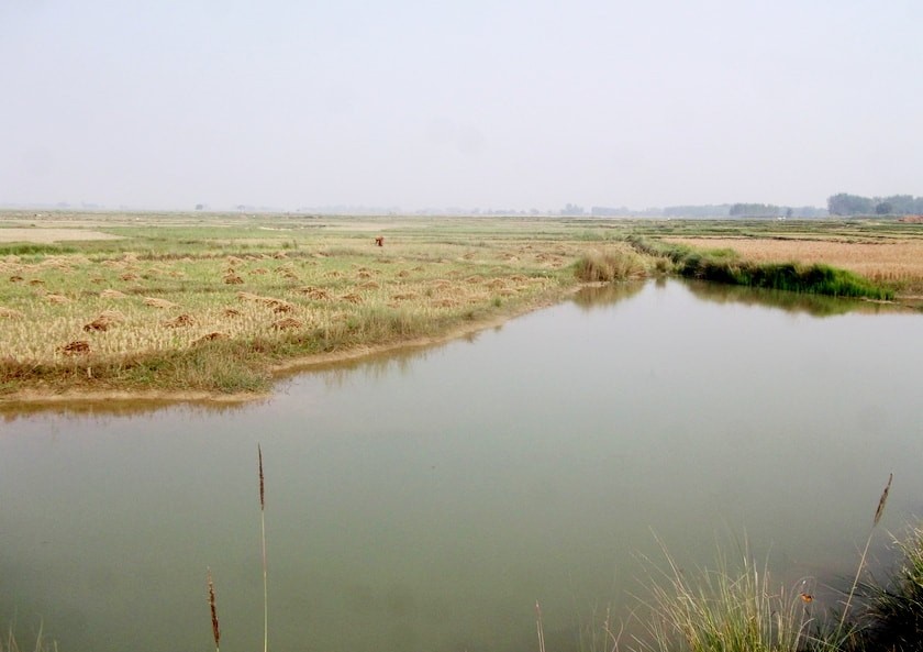nandan-tal.jpg