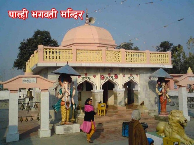 पाल्ही.jpg