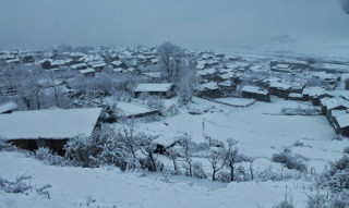 हुम्लामा हिमपात हजारौं पशु जाेखिममा 