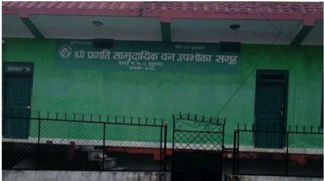 प्रगति सामुदायिक वनको नेतृत्वको लागि दुई प्यानल चुनावी प्रतिस्पर्धामा, आज निर्वाचन हुँदै