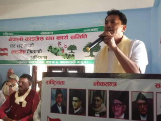 "बिजयका लागि कांग्रेस एक जुट हुनुपर्छ" - थापा 