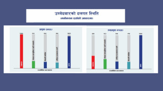 स्थानिय तह निर्वाचन  : कुन पदमा कुन दलबाट कति उम्मेदवार ?