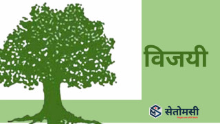 एमाले अध्यक्ष ओलीको वडामा कांग्रेसको प्यानलै विजयी