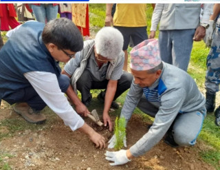 बिश्व वातावरण दिवस : गुल्मीमा बृक्षारोपण गरि मनाइयो 