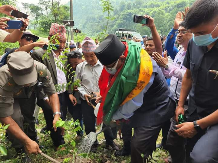 ट्राफिक नियम उल्लंघन गरेको आरोपमा हर्क साम्पाङलाई कारवाही