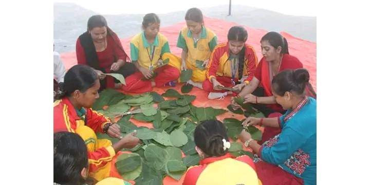 च्याउ खादा १० जना विरामी