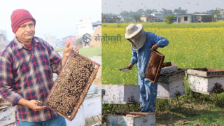 मौरीपालनबाट मनग्य आम्दानी