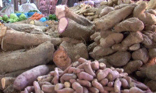 कावासोतीमा तरुलबाटै एक करोडको व्यापार