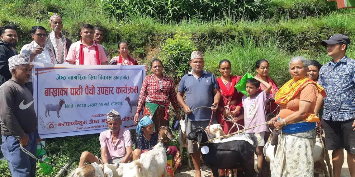 उद्यमशील जेष्ठ नागरिकहरुलाइ उन्नतजातका बाख्रा पाठी पैंचो उपहार कार्यक्रम