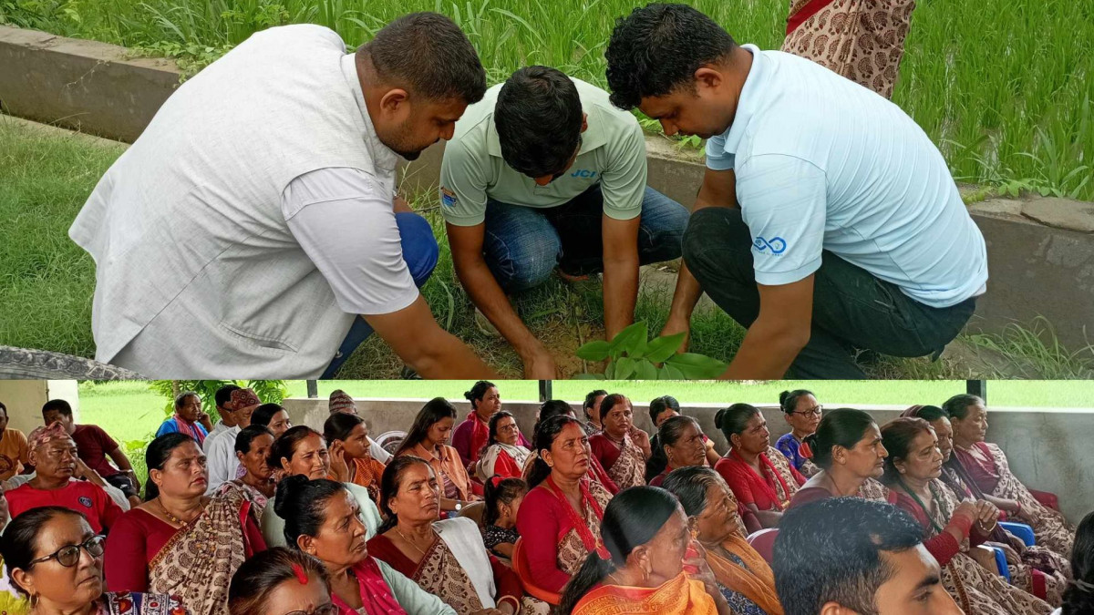 विश्व वातावरण दिवसको अवसरमा स्काउट देवदहद्वारा बृक्षारोपण
