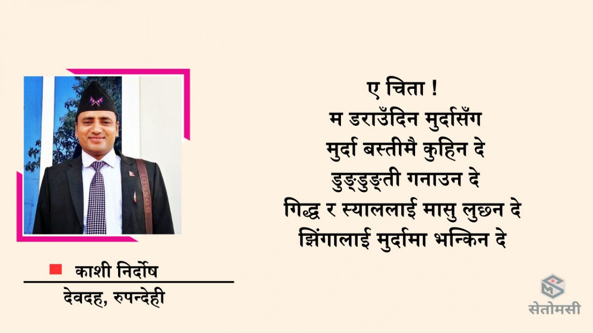 कविता : चिता 