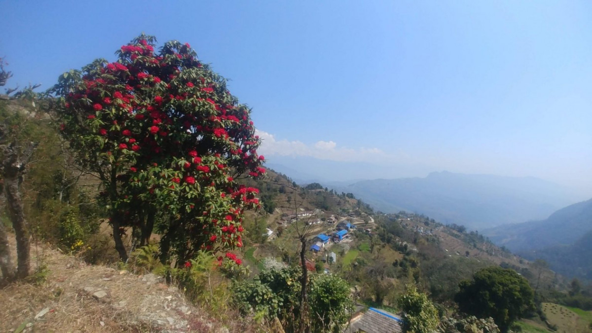 पञ्चासे २.png