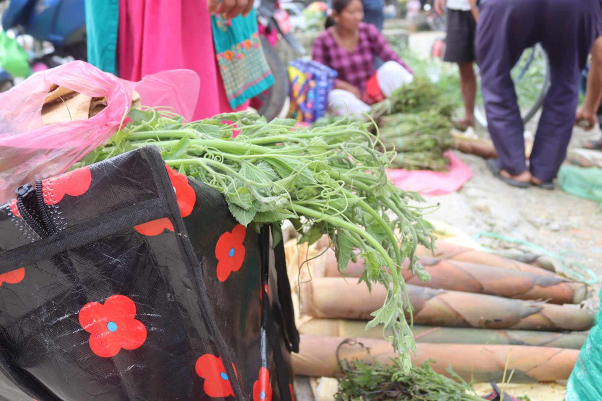 palpa5.jpeg