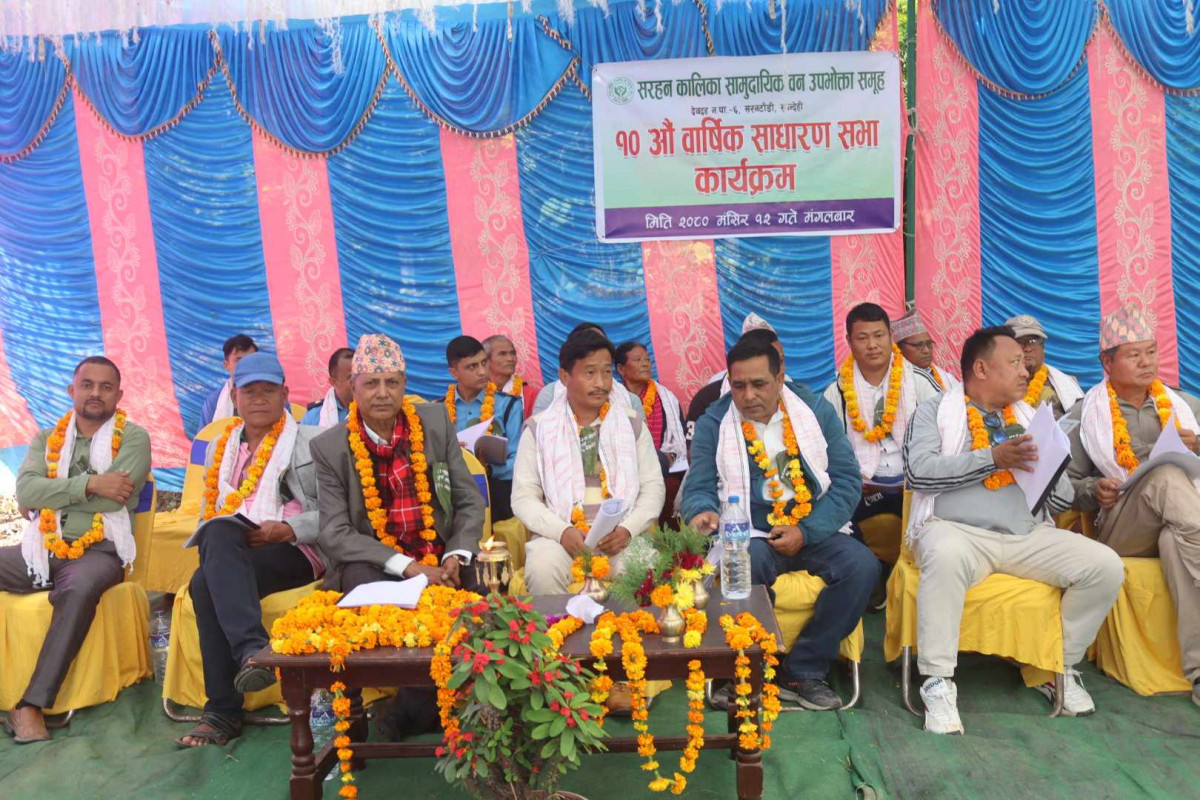 सरहन कालिकामा आधा करोड बढीको काठ दाउरा लिलाम बिक्री