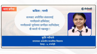 कविता : गल्ती 