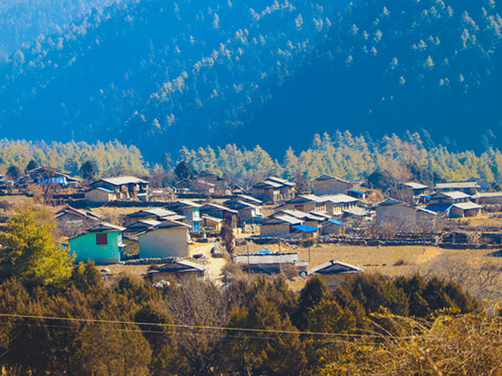लागुऔषध र भरुवा बन्दुकसहित ढोरपाटनबाट दुईजना पक्राउ