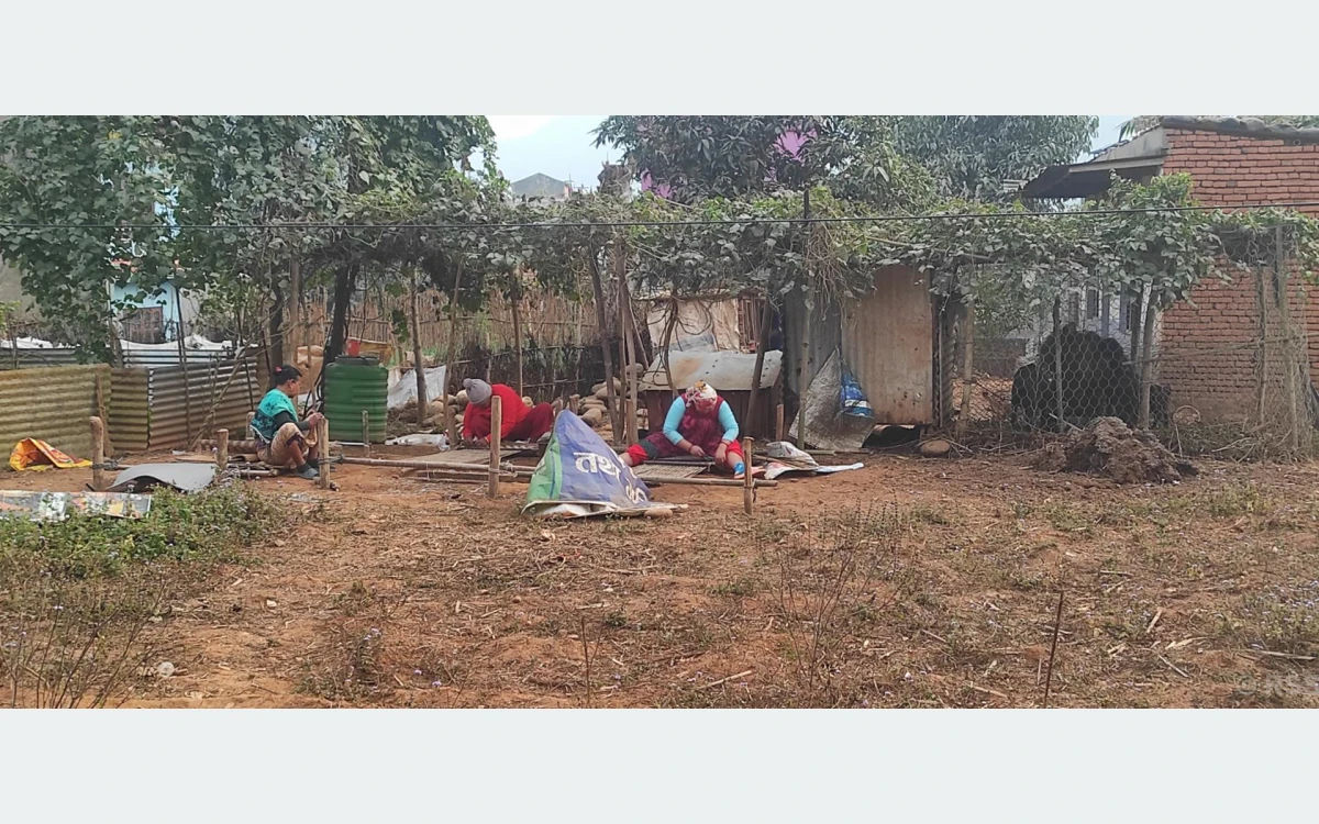 नयाँ पुस्ता आकर्षित नभएकाले परालबाट गुन्द्री बुन्ने चलन हराउँदै