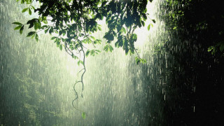देशमा पश्चिमी र स्थानीय वायुको प्रभाव