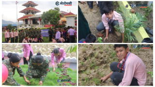 विद्यार्थीले गरे मन्दिर परिसरमा वाटिका निर्माण र वृक्षरोपण
