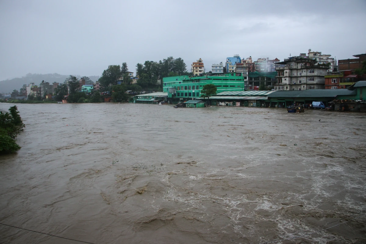काठमाडौँ महानगरमा एसइईमा ४ विद्यालयबाट शतप्रतिशत नतिजा