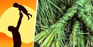 आज कुशे औँसी पर्व, बाबुको मुख हेर्ने दिन