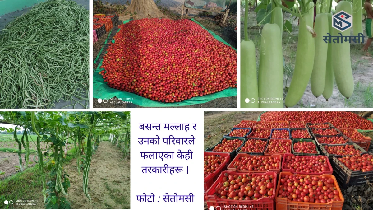 _तरकारी.jpg