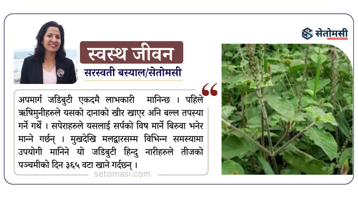 तीजको दर खाने कार्यक्रम भड्किलो बनाए कारबाही