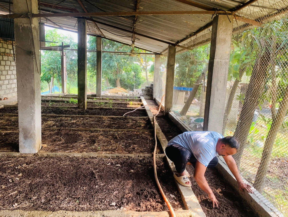 gadyala farm-min.jpeg